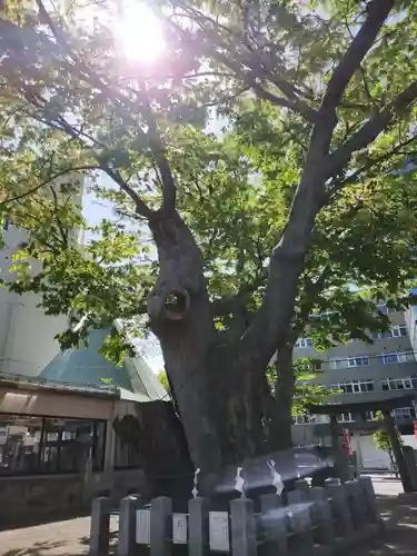阿邪訶根神社の自然