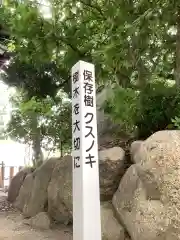 神明社（桜神明社）の建物その他