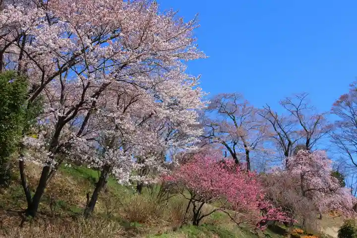 高屋敷稲荷神社の景色