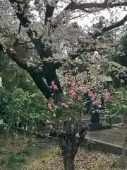 簳幹八幡宮(東京都)