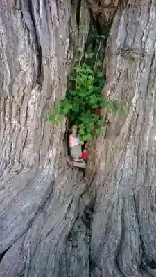 飛騨国分寺の仏像