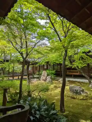 建仁寺（建仁禅寺）(京都府)