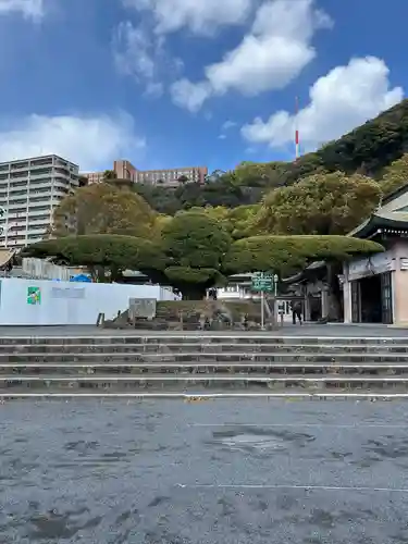 照國神社(鹿児島県)