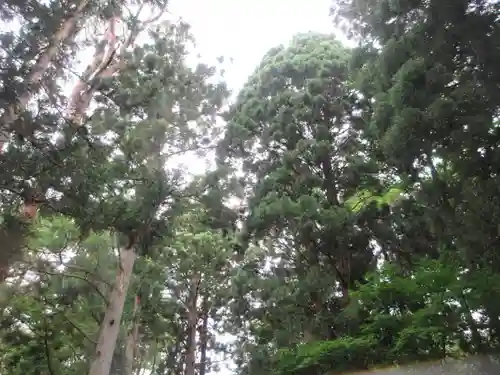 胡四王神社(岩手県)