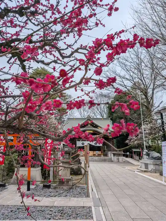 布多天神社(東京都)
