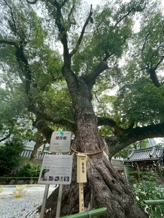 難波神社の{uncategorized: "未分類", other: "その他", undefined: "問題あり", building: "その他建物", grave: "お墓", sacred_gate: "鳥居", guardian: "狛犬", statue: "像", buddha: "仏像", history: "歴史", nature: "自然", garden: "庭園", animal: "動物", pagoda: "塔", temizu: "手水舎", mountain_gate: "山門・神門", sanctuary: "本殿・本堂", subordinate: "末社・摂社", art: "芸術", scenery: "景色", jizo: "地蔵", ema: "絵馬", goshuin: "御朱印", omikuji: "おみくじ", items: "授与品その他", amulet: "お守り", goshuincho: "御朱印帳", eats: "食事", festival: "お祭り", votive_dance: "神楽", shichigosan: "七五三参", wedding: "結婚式", experience: "体験その他", initially: "初詣", around: "周辺", anti_infection: "感染症対策"}