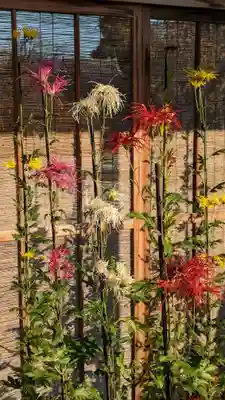 大覚寺(京都府)