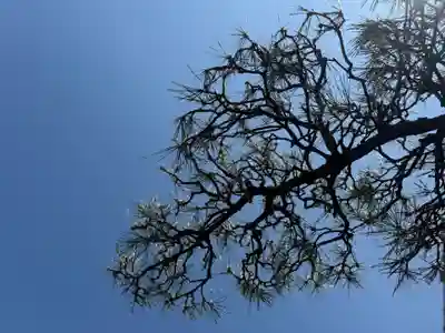 西方山極楽寺(岐阜県)