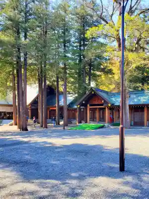 北海道神宮の{uncategorized: "未分類", other: "その他", undefined: "問題あり", building: "その他建物", grave: "お墓", sacred_gate: "鳥居", guardian: "狛犬", statue: "像", buddha: "仏像", history: "歴史", nature: "自然", garden: "庭園", animal: "動物", pagoda: "塔", temizu: "手水舎", mountain_gate: "山門・神門", sanctuary: "本殿・本堂", subordinate: "末社・摂社", art: "芸術", scenery: "景色", jizo: "地蔵", ema: "絵馬", goshuin: "御朱印", omikuji: "おみくじ", items: "授与品その他", amulet: "お守り", goshuincho: "御朱印帳", eats: "食事", festival: "お祭り", votive_dance: "神楽", shichigosan: "七五三参", wedding: "結婚式", experience: "体験その他", initially: "初詣", around: "周辺", anti_infection: "感染症対策"}