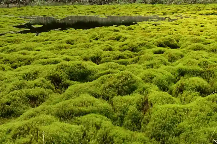 大山祇神社(高知県)