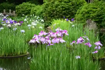東行庵(山口県)