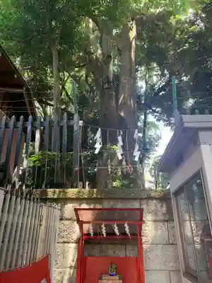 太子堂八幡神社のその他建物