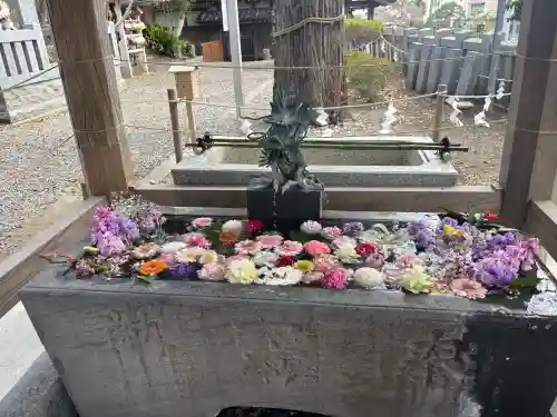 玉前神社の{uncategorized: "未分類", other: "その他", undefined: "問題あり", building: "その他建物", grave: "お墓", sacred_gate: "鳥居", guardian: "狛犬", statue: "像", buddha: "仏像", history: "歴史", nature: "自然", garden: "庭園", animal: "動物", pagoda: "塔", temizu: "手水舎", mountain_gate: "山門・神門", sanctuary: "本殿・本堂", subordinate: "末社・摂社", art: "芸術", scenery: "景色", jizo: "地蔵", ema: "絵馬", goshuin: "御朱印", omikuji: "おみくじ", items: "授与品その他", amulet: "お守り", goshuincho: "御朱印帳", eats: "食事", festival: "お祭り", votive_dance: "神楽", shichigosan: "七五三参", wedding: "結婚式", experience: "体験その他", initially: "初詣", around: "周辺", anti_infection: "感染症対策"}