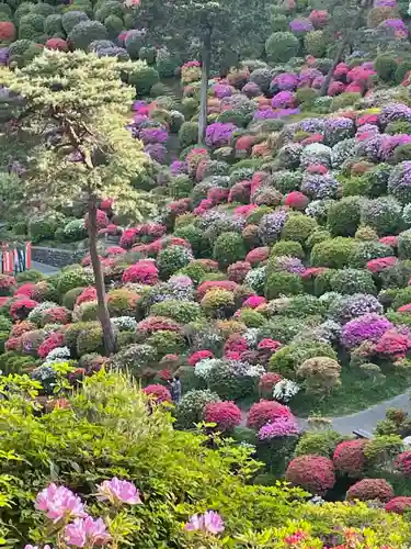 塩船観音寺の景色