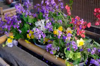 竹神社(三重県)