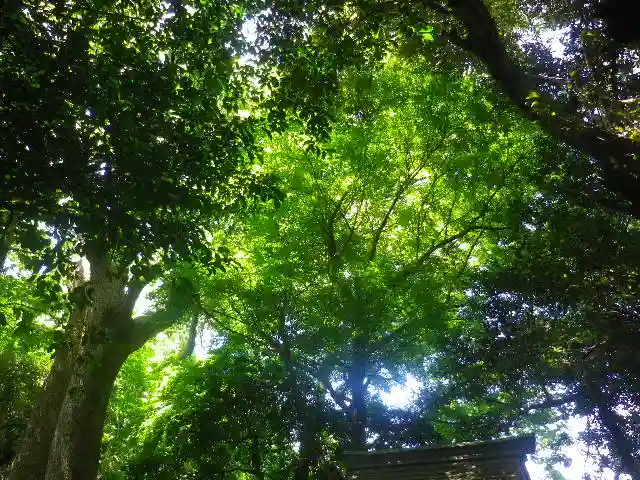 浅間神社の自然