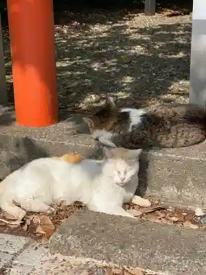 息栖神社(茨城県)