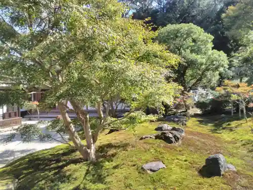 長壽寺（長寿寺）の景色