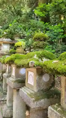 春日大社の{uncategorized: "未分類", other: "その他", undefined: "問題あり", building: "その他建物", grave: "お墓", sacred_gate: "鳥居", guardian: "狛犬", statue: "像", buddha: "仏像", history: "歴史", nature: "自然", garden: "庭園", animal: "動物", pagoda: "塔", temizu: "手水舎", mountain_gate: "山門・神門", sanctuary: "本殿・本堂", subordinate: "末社・摂社", art: "芸術", scenery: "景色", jizo: "地蔵", ema: "絵馬", goshuin: "御朱印", omikuji: "おみくじ", items: "授与品その他", amulet: "お守り", goshuincho: "御朱印帳", eats: "食事", festival: "お祭り", votive_dance: "神楽", shichigosan: "七五三参", wedding: "結婚式", experience: "体験その他", initially: "初詣", around: "周辺", anti_infection: "感染症対策"}