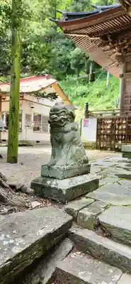 横山不動尊の狛犬