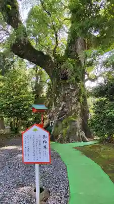 大汝牟遅神社の{uncategorized: "未分類", other: "その他", undefined: "問題あり", building: "その他建物", grave: "お墓", sacred_gate: "鳥居", guardian: "狛犬", statue: "像", buddha: "仏像", history: "歴史", nature: "自然", garden: "庭園", animal: "動物", pagoda: "塔", temizu: "手水舎", mountain_gate: "山門・神門", sanctuary: "本殿・本堂", subordinate: "末社・摂社", art: "芸術", scenery: "景色", jizo: "地蔵", ema: "絵馬", goshuin: "御朱印", omikuji: "おみくじ", items: "授与品その他", amulet: "お守り", goshuincho: "御朱印帳", eats: "食事", festival: "お祭り", votive_dance: "神楽", shichigosan: "七五三参", wedding: "結婚式", experience: "体験その他", initially: "初詣", around: "周辺", anti_infection: "感染症対策"}