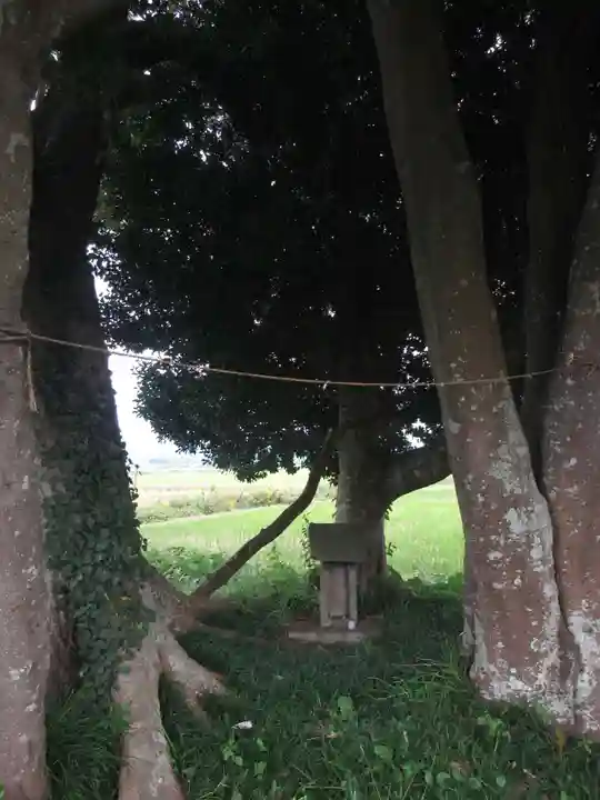 裏つくば、恋瀬川沿いの神社(茨城県)
