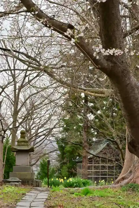 安禅寺(新潟県)