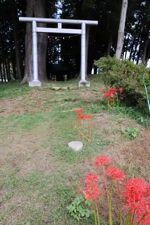 九万八千神社(埼玉県)
