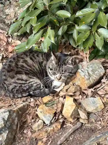 唐澤山神社(栃木県)