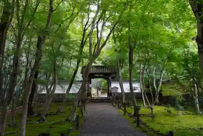 地蔵院(京都府)