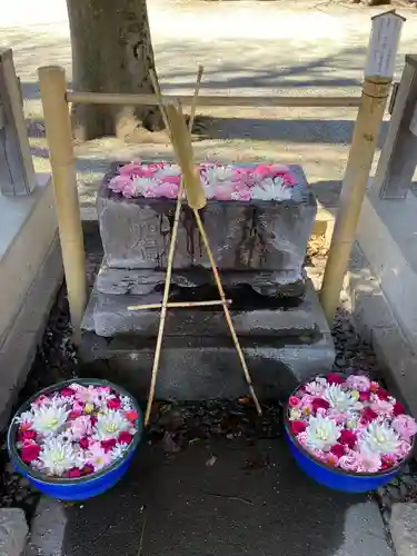 相模原氷川神社(神奈川県)