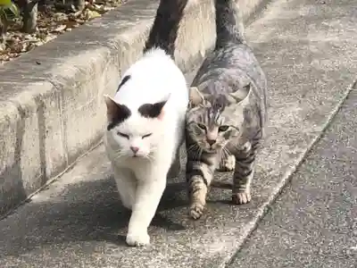 王子神社(徳島県)