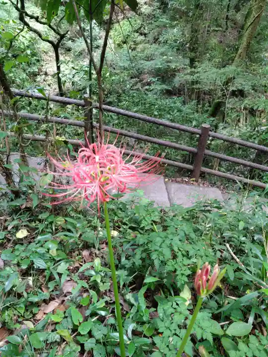 天安河原宮(宮崎県)