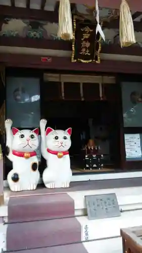 今戸神社の狛犬