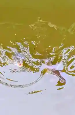 七百餘所神社 の動物