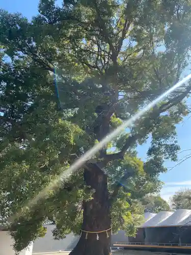 上野東照宮(東京都)