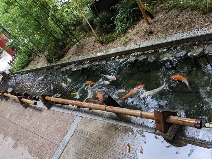 秩父神社(埼玉県)