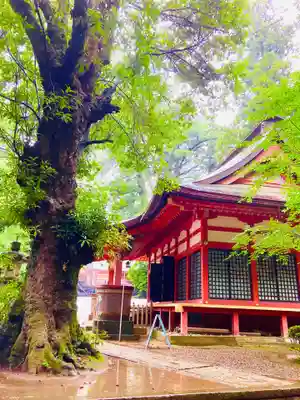 香取神宮(千葉県)