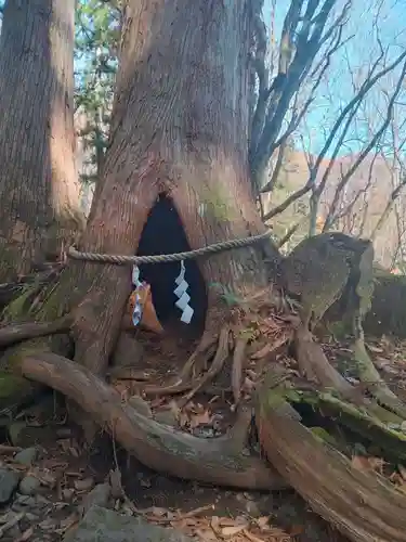 戸隠神社奥社(長野県)