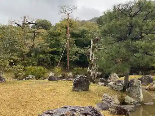 高台寺（高台寿聖禅寺・高臺寺）(京都府)