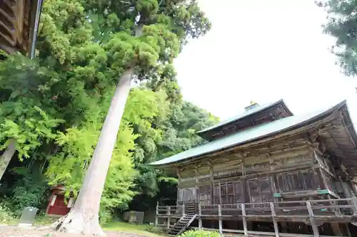 松尾寺のその他建物
