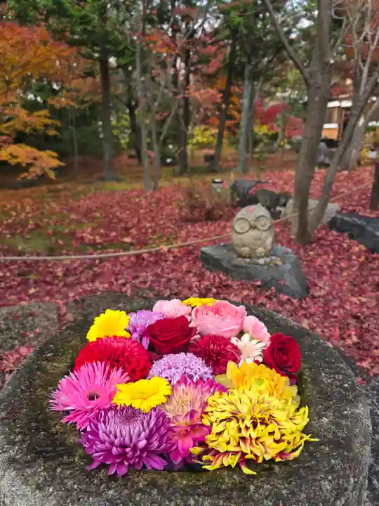 勝林寺(京都府)