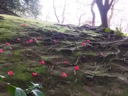 城南宮(京都府)