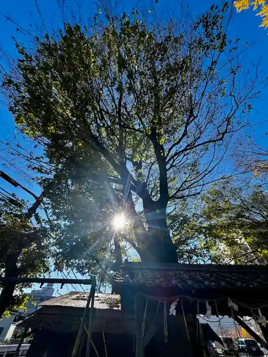 三栖神社(京都府)