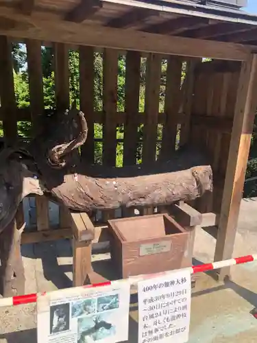東霧島神社(宮崎県)