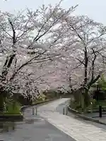 高麗神社(埼玉県)