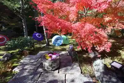 勝林寺(京都府)