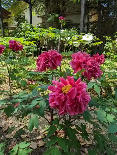 乙訓寺(京都府)