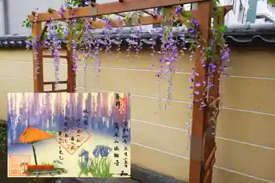 和歌の御朱印5月 ｢藤波-ふじなみ-｣