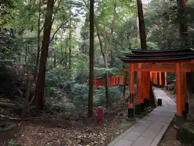 伏見稲荷大社(京都府)